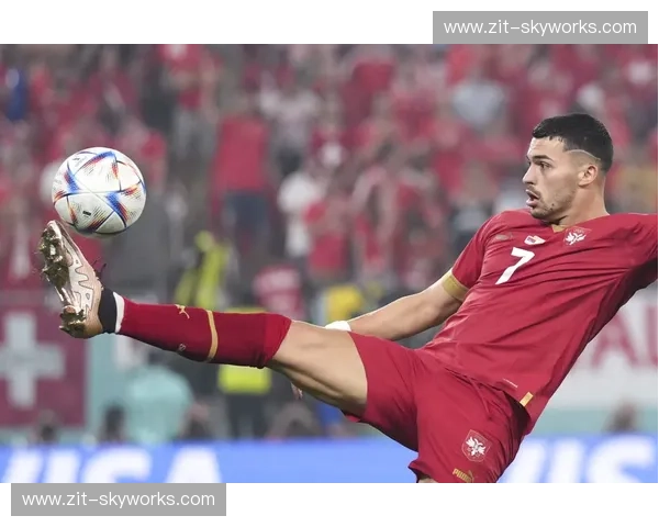 卡塔尔世界杯举办地及赛事亮点全解析